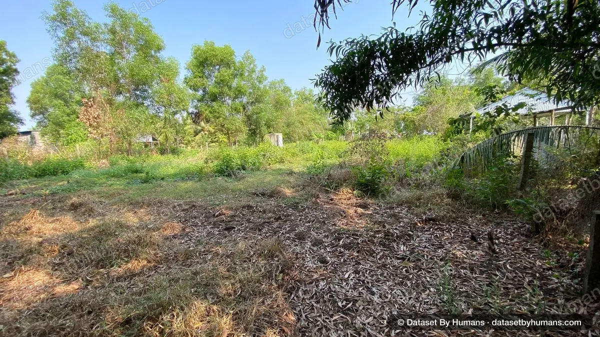 Dry leaf litter covering cleared ground beside a fence, with trees and an open field under a clear sky